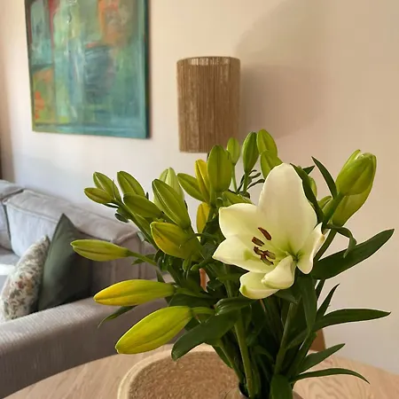 Appartement Center Old Town *