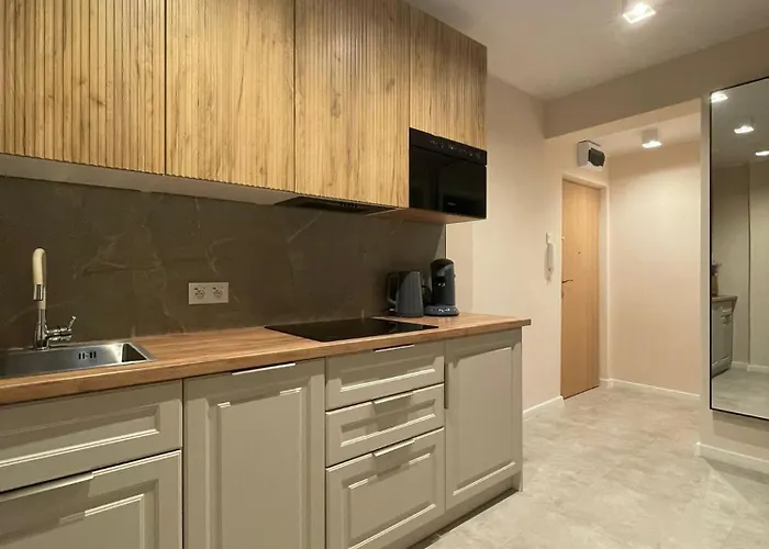 Center Old Town شقة