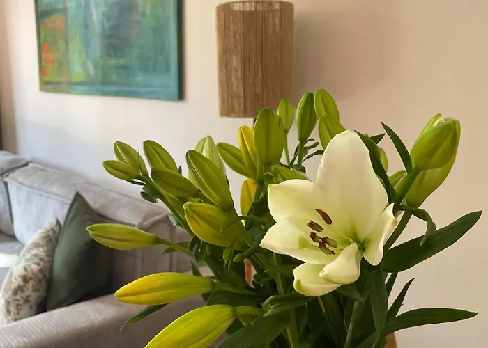 Apartment Center Old Town *